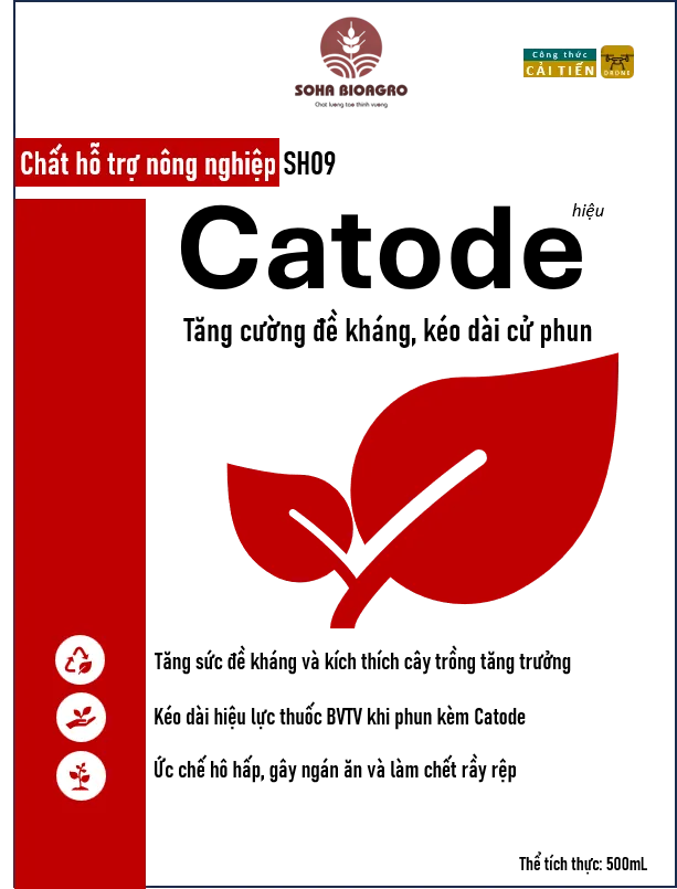 Sầu Riêng Monthong Thái