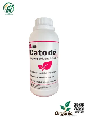 Catode (SH09, 500mL)
