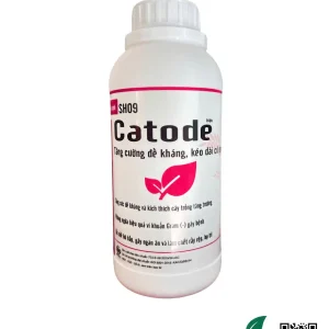 Catode (SH09, 500mL)
