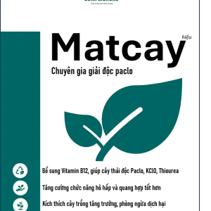 Sầu Riêng Monthong Thái (Sao chép)