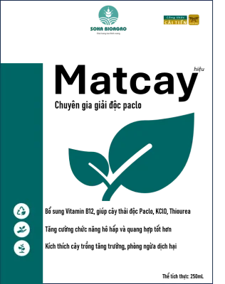 Sầu Riêng Monthong Thái (Sao chép)