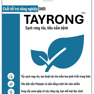 Sầu Riêng Monthong Thái (Sao chép)