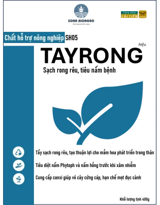 Sầu Riêng Monthong Thái (Sao chép)