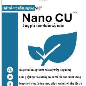 Sầu Riêng Monthong Thái (Sao chép)