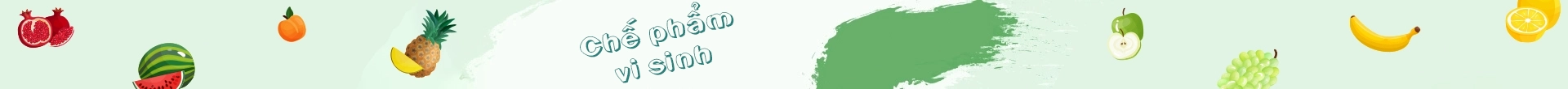 BANNER TOP
