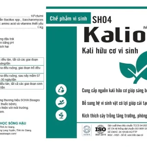 Kalio (SH04)