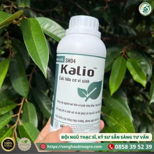 Kalio (SH04, 1L)