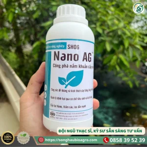 Nano Ag (SH06, 1L)