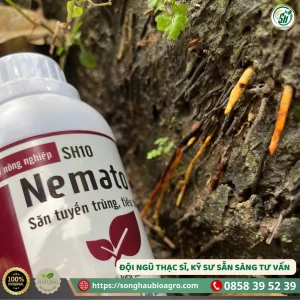 Nemato DIE (SH10, 500mL)