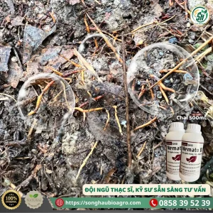 Nemato DIE (SH10, 500mL)