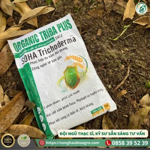 Soha Trichoderma (SH12, 1Kg)