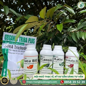 Soha Trichoderma (SH12, 1Kg)