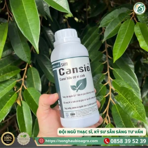 Cansio (SH11), 500mL