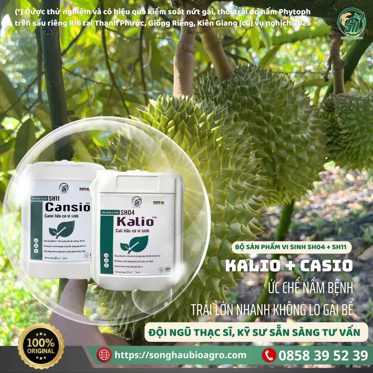 Cansio (SH11), 500mL