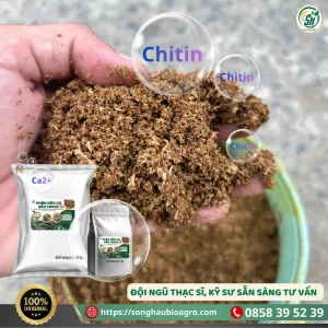 Phân hữu cơ sâu canxi (SH15, 25Kg)