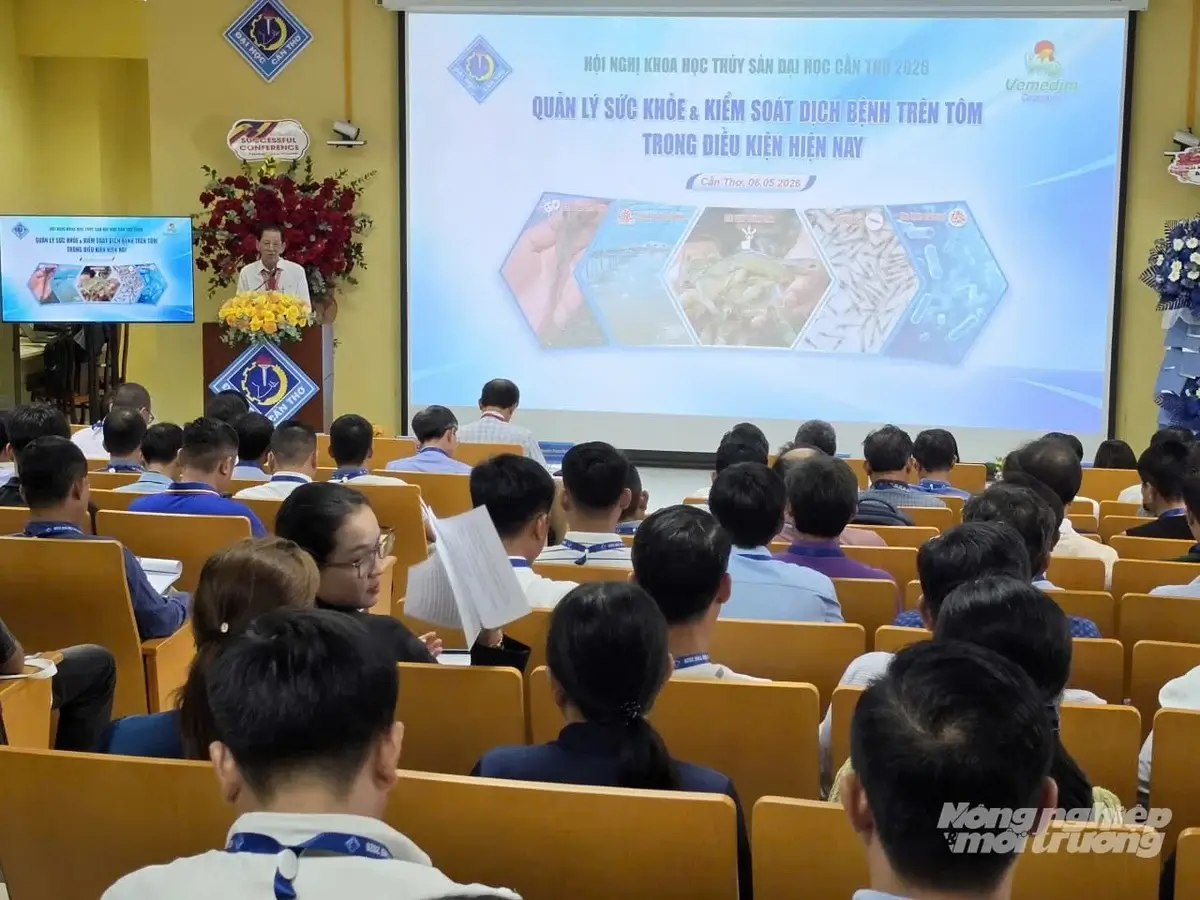Kiểm soát dịch bệnh, nâng sức cạnh tranh cho ngành tôm