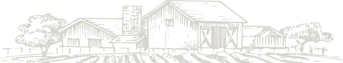 Footer